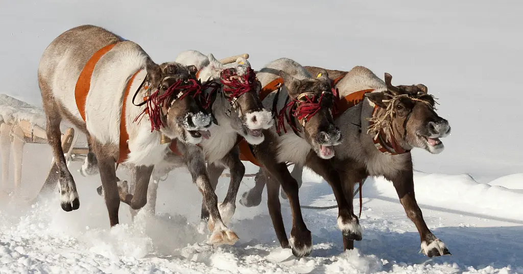 How Santa Claus Can Help Prevent Financial Crime